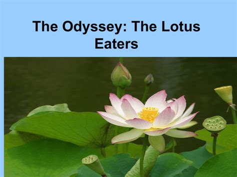 hermes lotus|the lotus flower of odyssey.